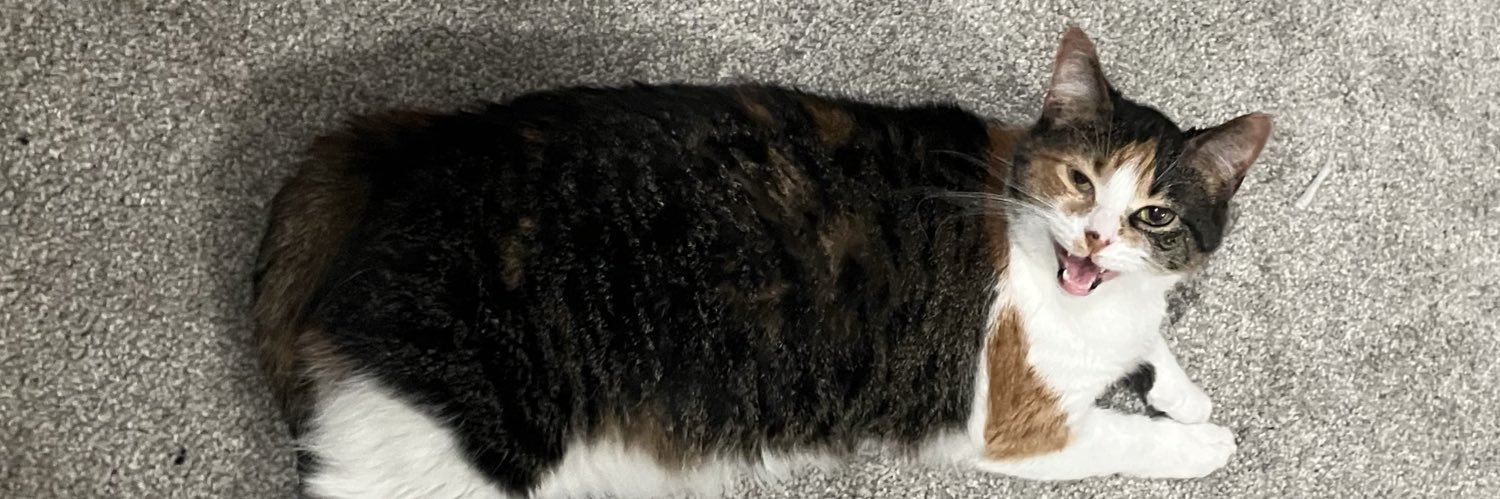 kdahouse's profile banner image