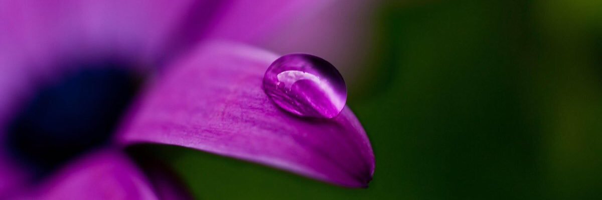 igallery_shop's profile banner image