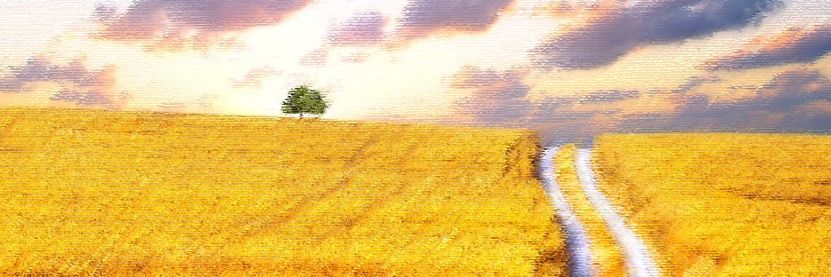 enclavedesabor's profile banner image