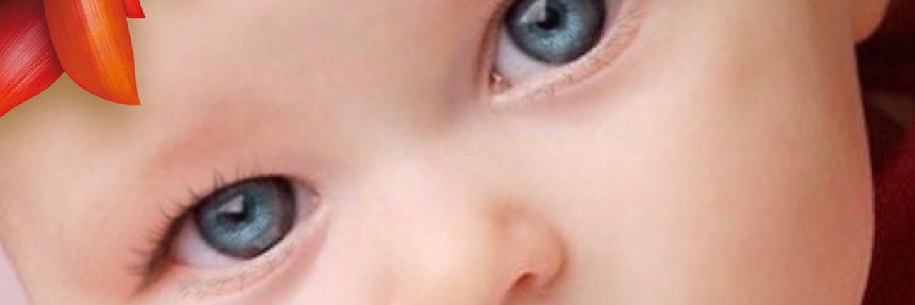 𝑪𝒉𝒆𝒓𝒏𝑺𝒓 banner