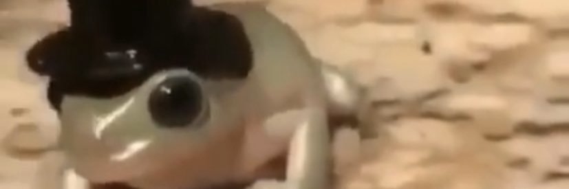 jiujitsupikachu's profile banner image