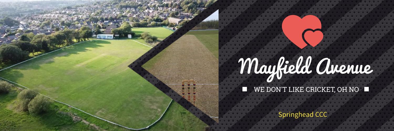 Springhead CCC banner