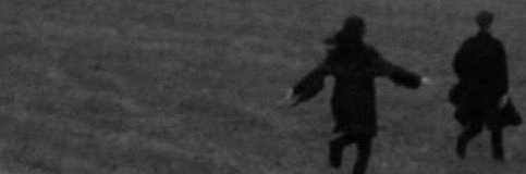 berrysmoothiest's profile banner image