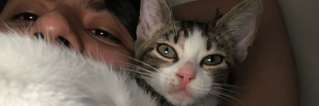 BoofAss336's profile banner image