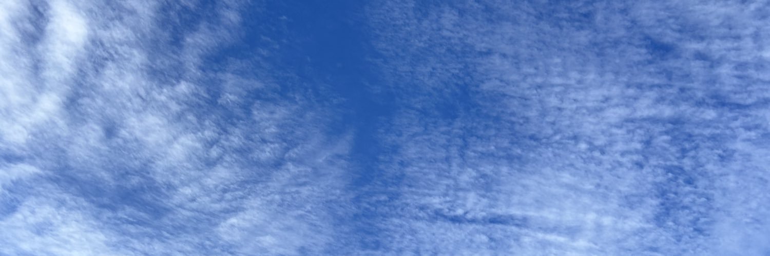 shiina8052's profile banner image