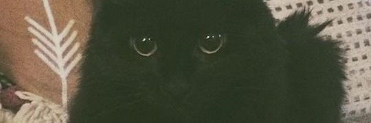 delfffiar's profile banner image