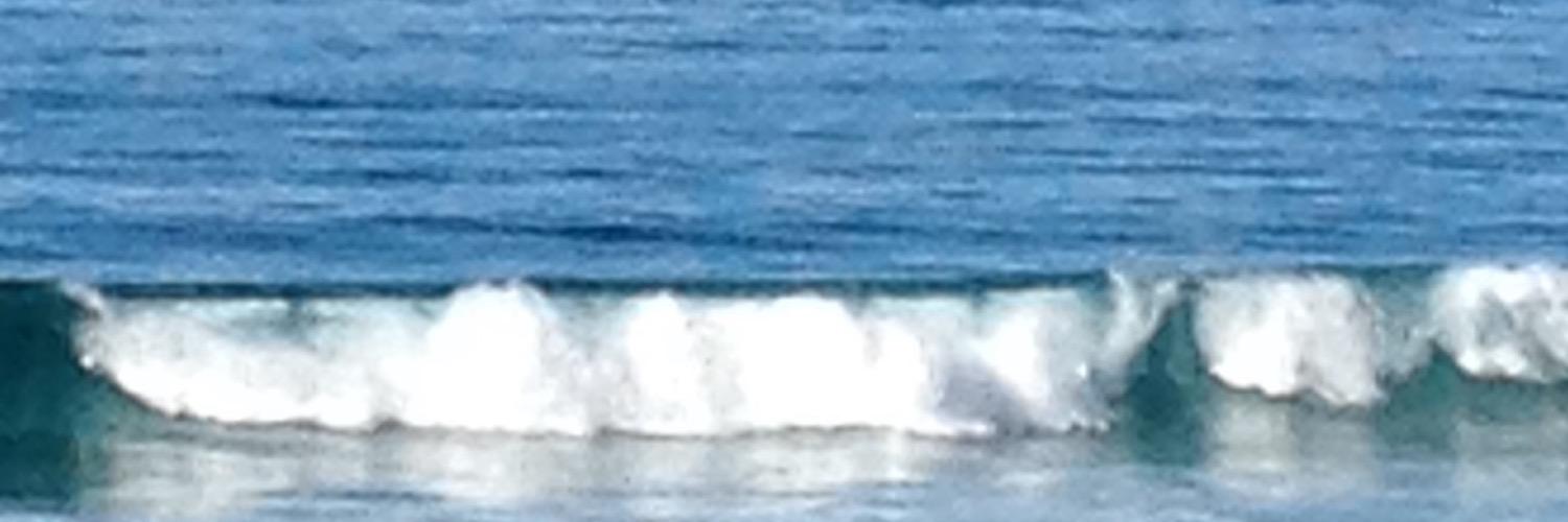 MONTEREYTHEIS's profile banner image