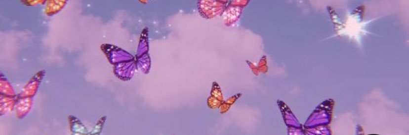 mariapiasentin's profile banner image