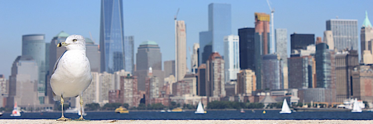 PirkkoGohlke's profile banner image