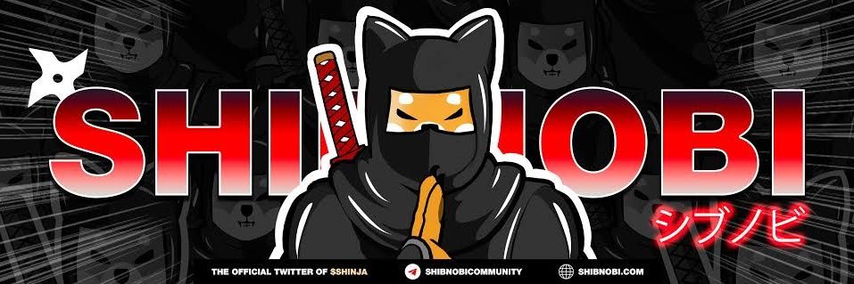 MerazMerazrog's profile banner image