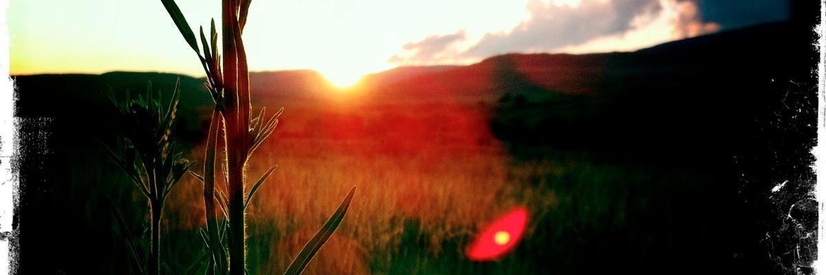 JohnnyGunFilms's profile banner image