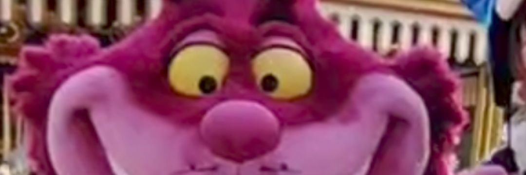 rietaratta222's profile banner image