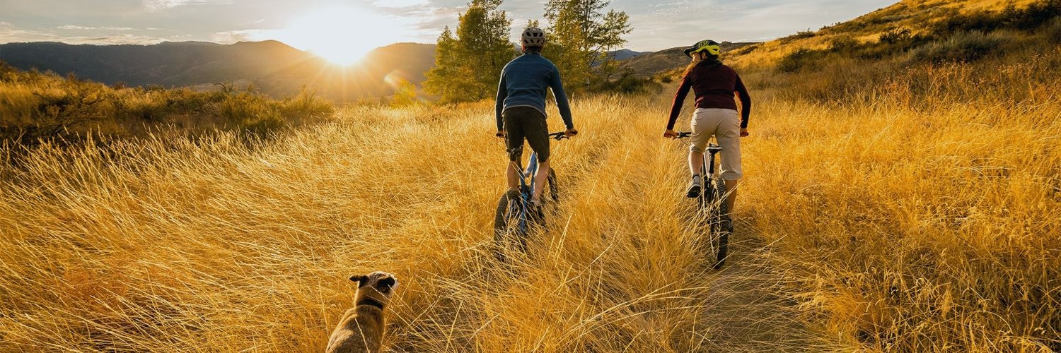 The Group Real Estate banner