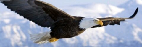 uranillo1954's profile banner image