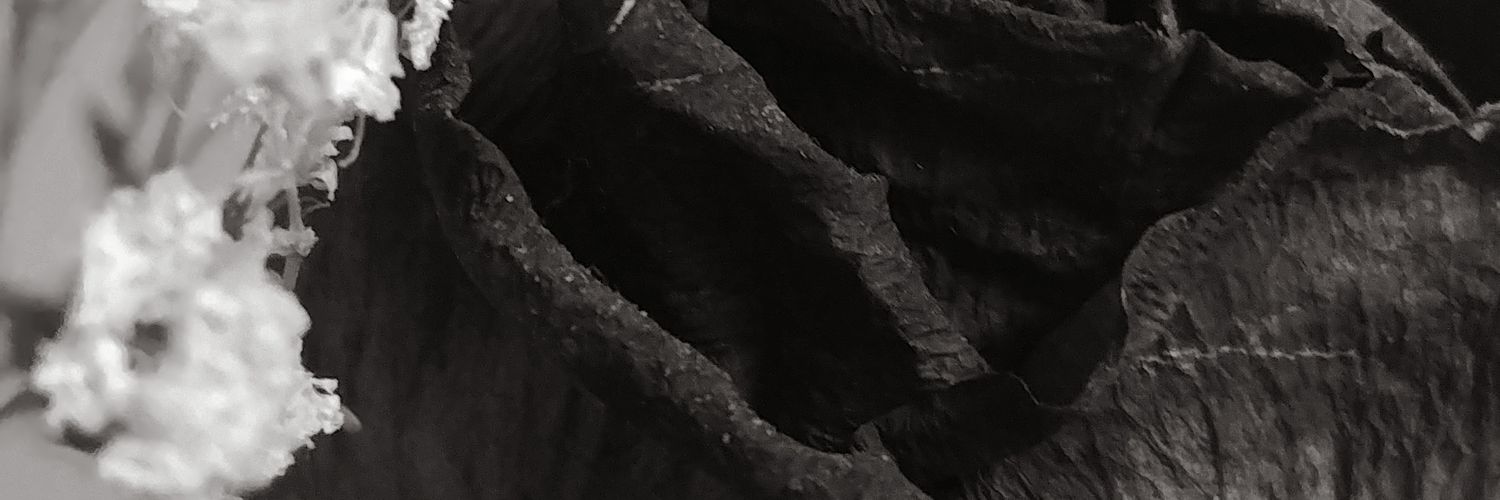jennybhendrix's profile banner image