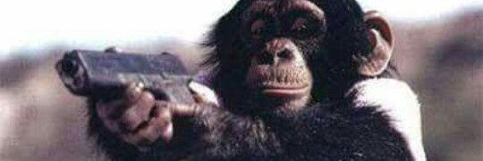 zero0159monky's profile banner image