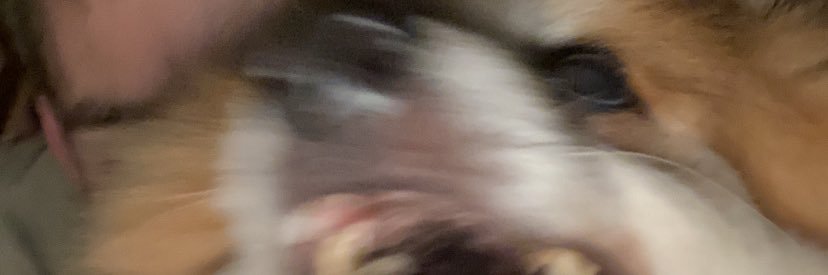 romytwl's profile banner image