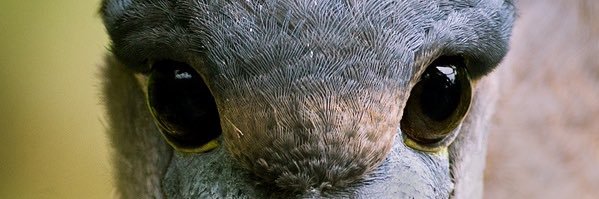 m0le__'s profile banner image