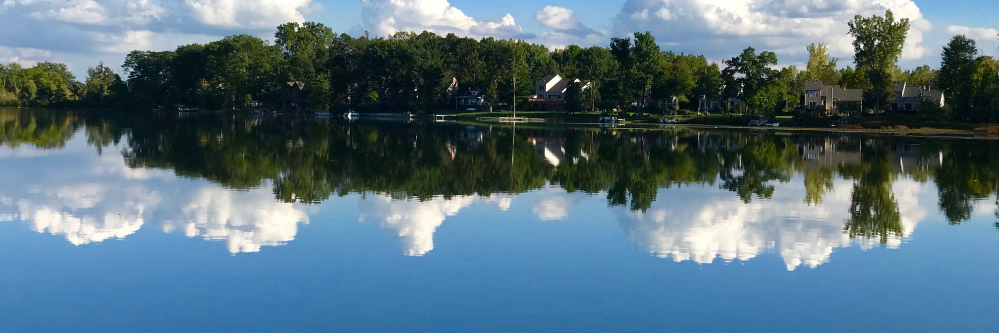 Brian MacDonald banner