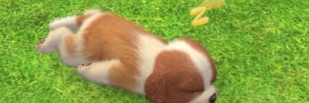 fakultas perkayuan banner