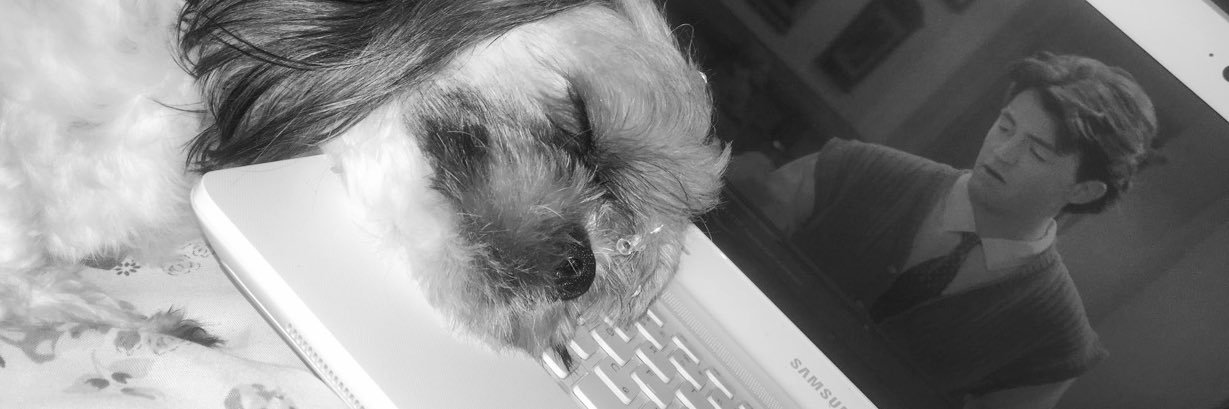 gabriele_w's profile banner image