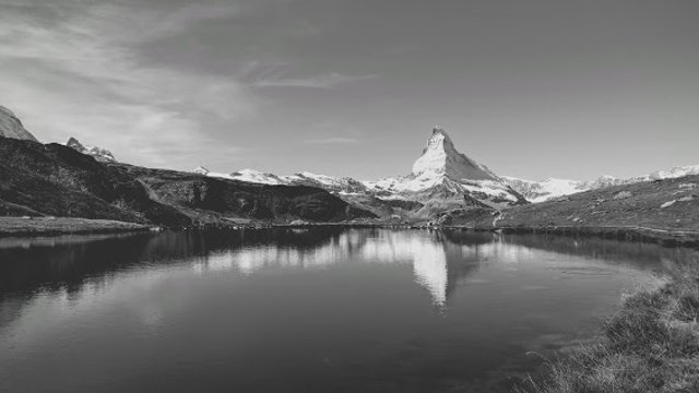 Giulia Pacchioni banner