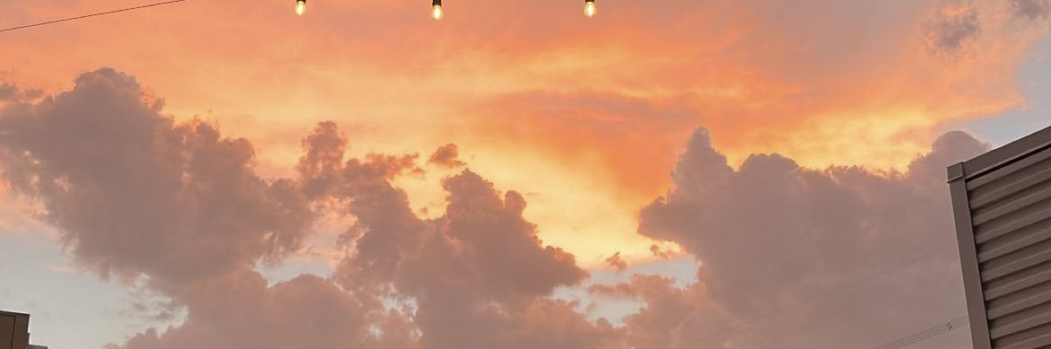 turtlegutti's profile banner image