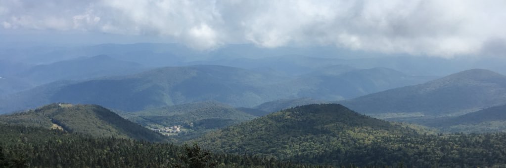 TheRealAhol's profile banner image
