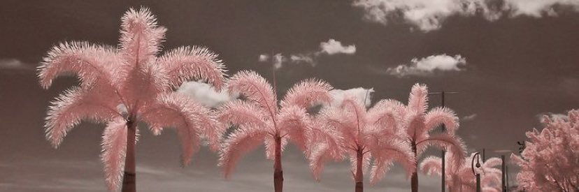 Ellieeemcewan's profile banner image
