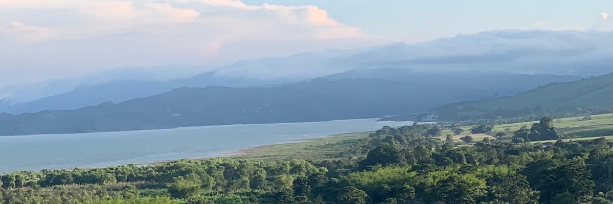 bedoyak's profile banner image