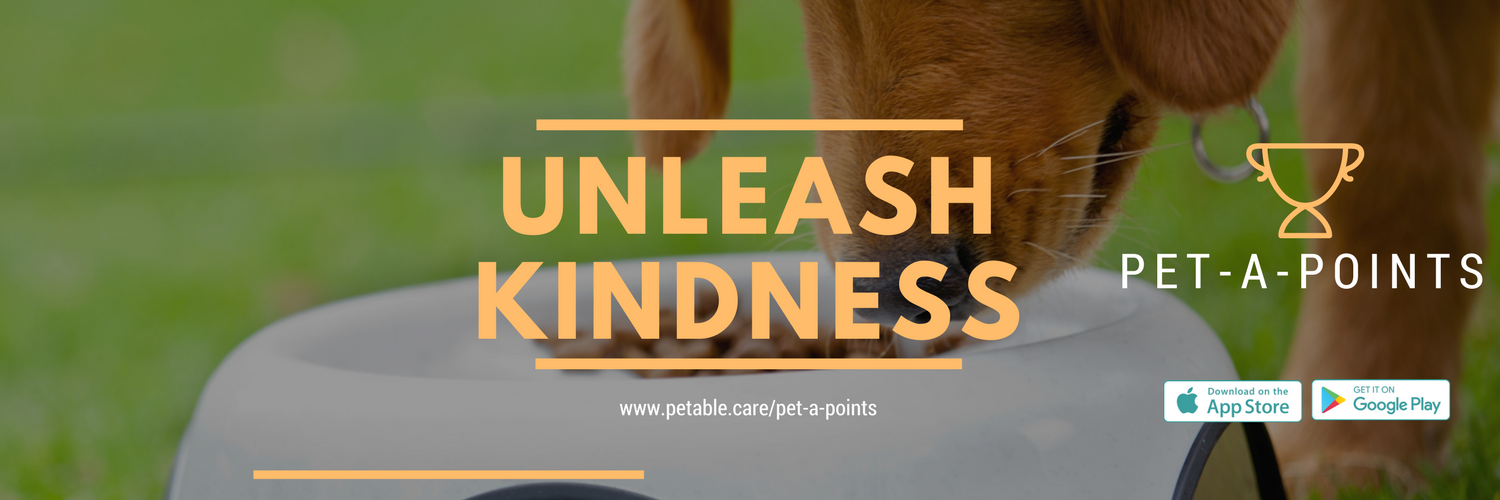 PetableCare's profile banner image
