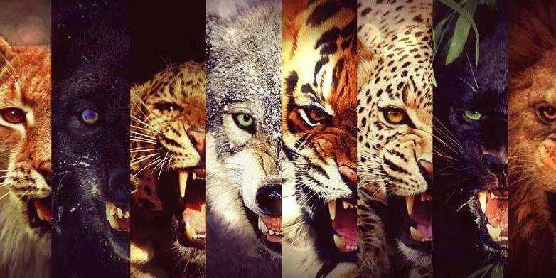 Lau_uh's profile banner image