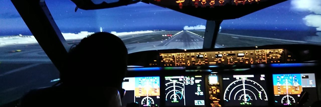 半田ユウ✈️VATSIMパイロット banner