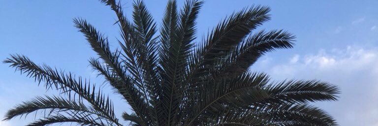AnwarMoafa's profile banner image