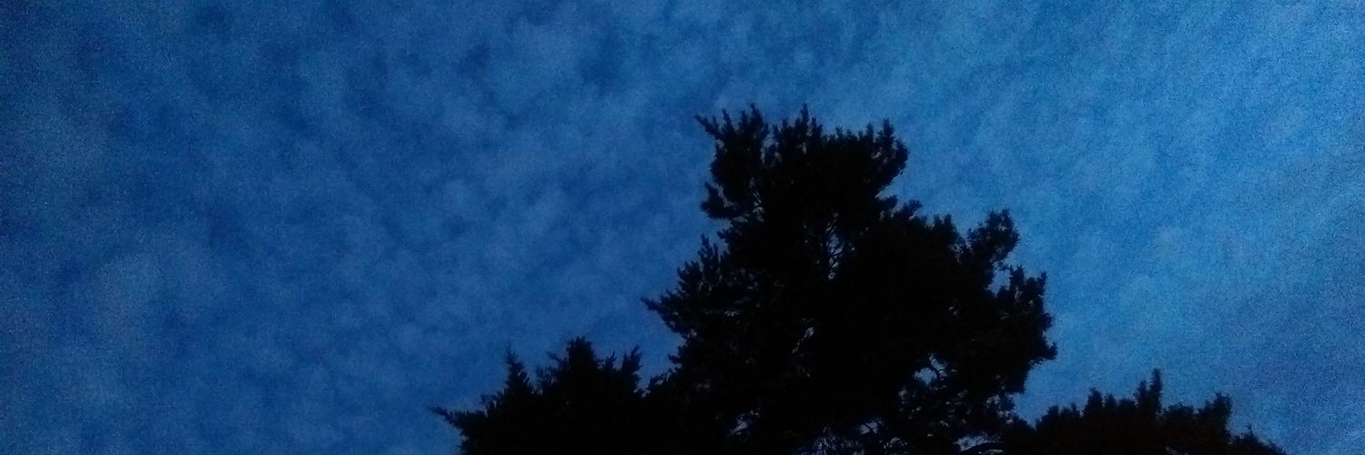 well_its_cj's profile banner image
