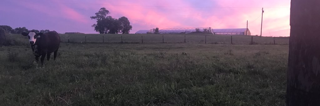 LindsHaynes_33's profile banner image