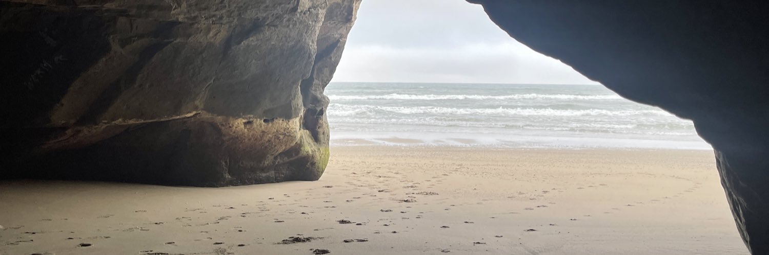 Taylor Rosenberger banner