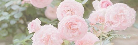 berrybootiful's profile banner image