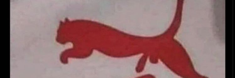 Beezy PumaBeez Beezy banner