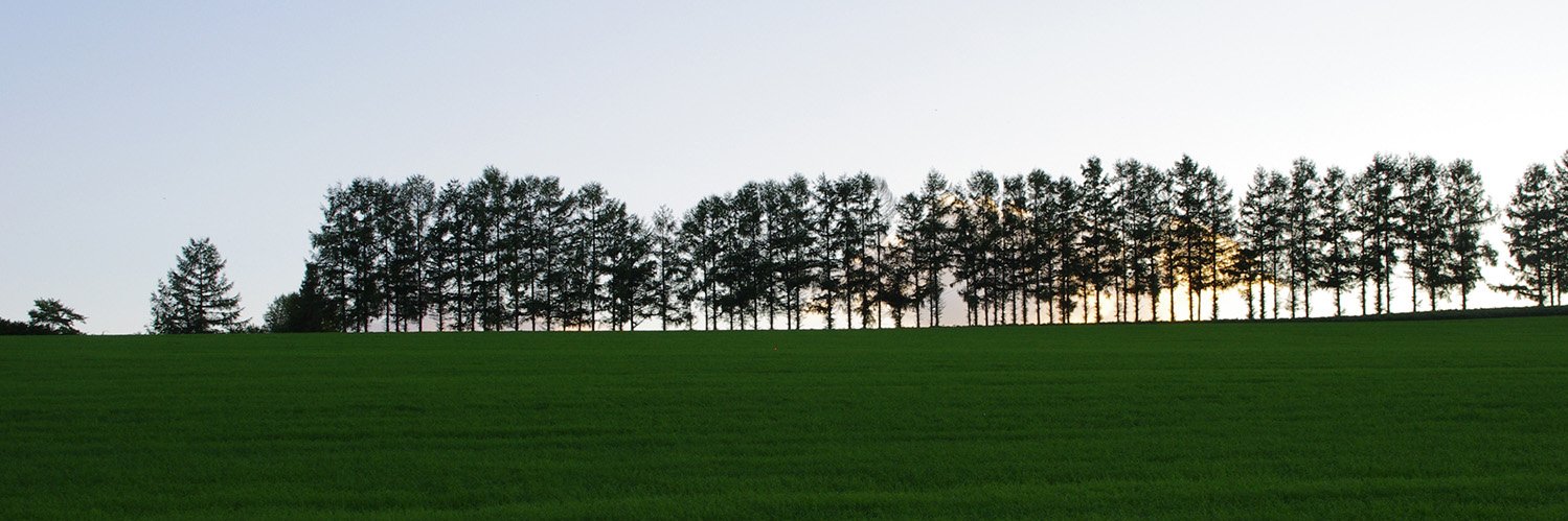 ～あっぷる～ banner