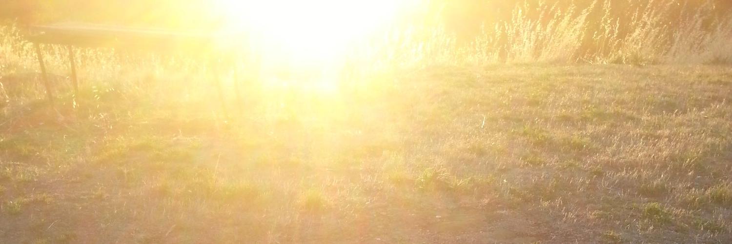 rohan phillips banner