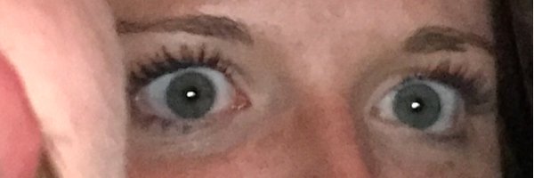 BirdsRDrones Profile Banner