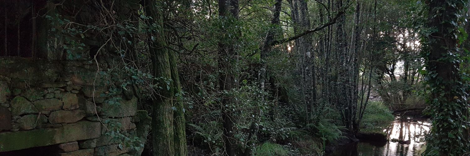 carmeiga's profile banner image