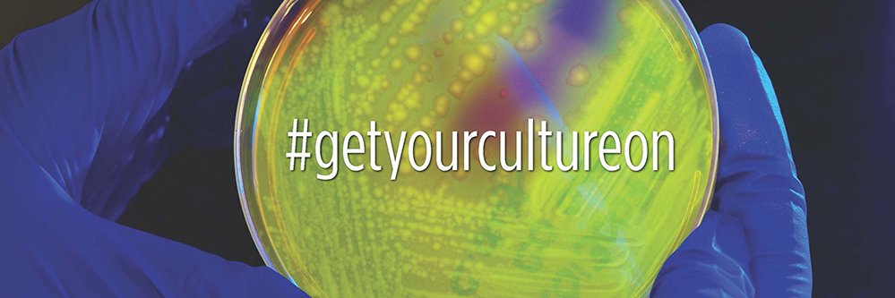 ABSA International banner