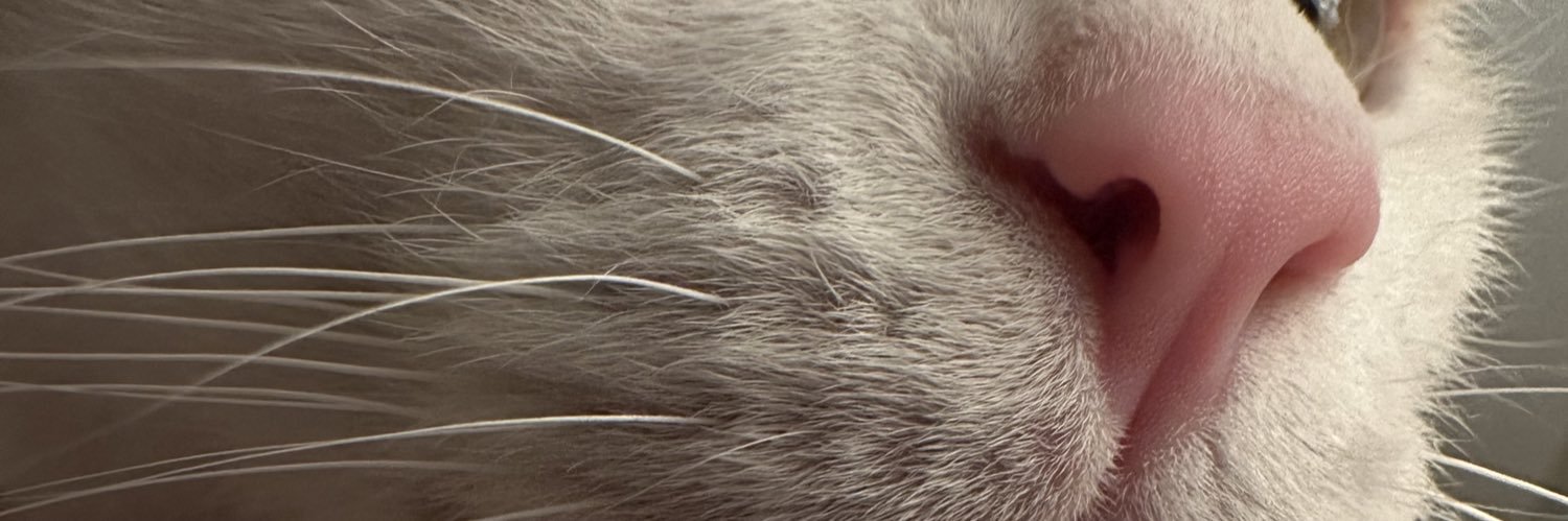 likeagypsyy's profile banner image