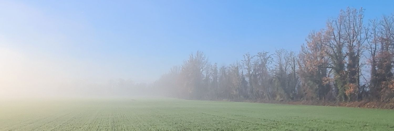 elecapelli's profile banner image