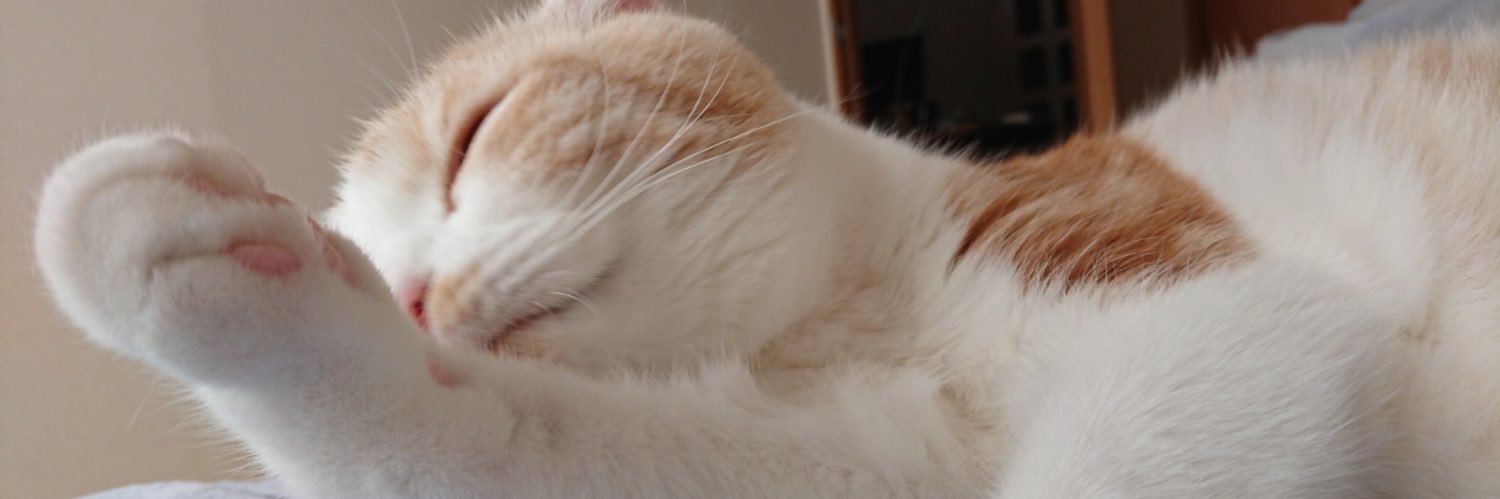 ToiannaSub's profile banner image