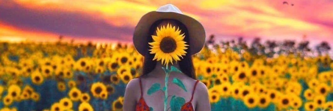 Angelly🌻 banner