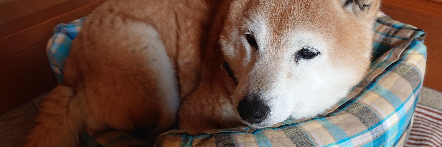 エッッッム banner