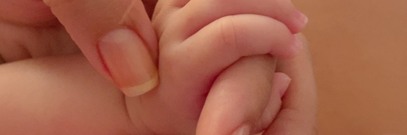 alinenunes11's profile banner image